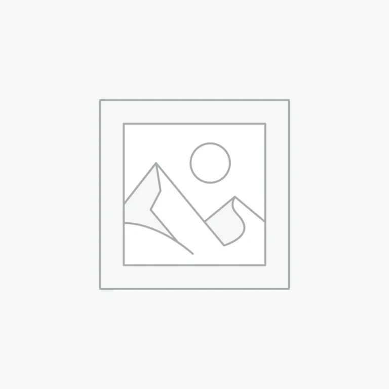 Ethical Partnership with AI
